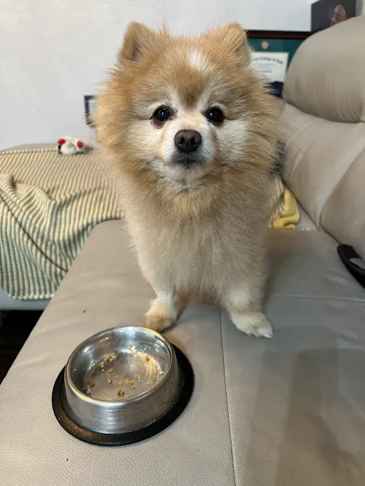 Grand Animal Hospital Picture 1