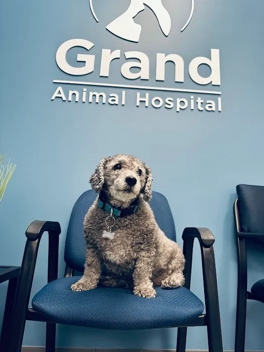 Grand Animal Hospital Picture 2