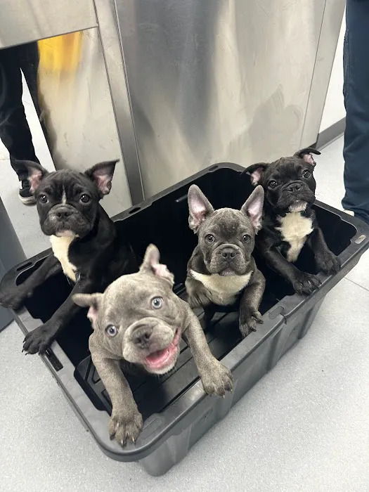 Grand Animal Hospital Picture 7