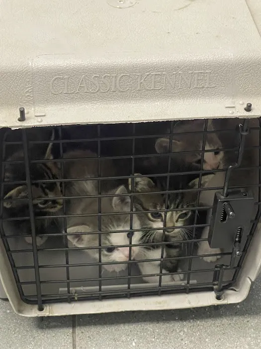 TLC Animal Clinic Picture 9