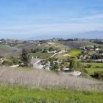 Chino Valley Equine Hospital