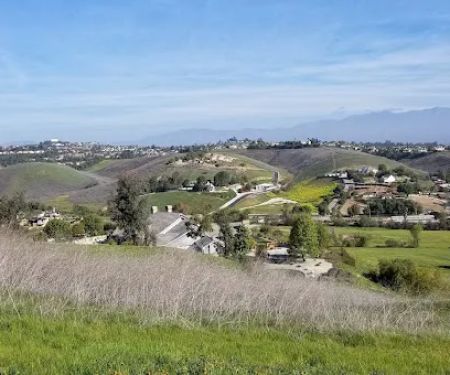 Chino Valley Equine Hospital