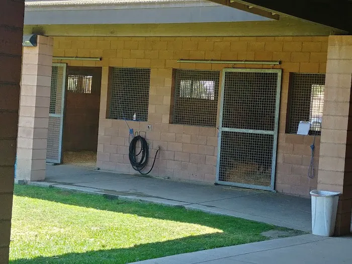 Chino Valley Equine Hospital Picture 3