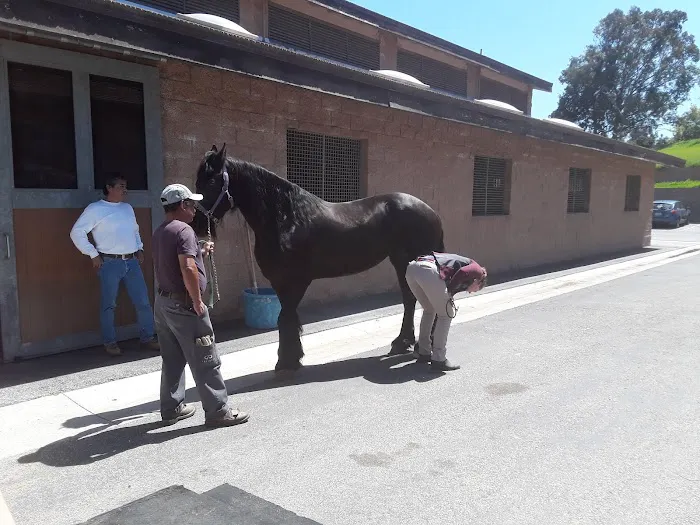 Chino Valley Equine Hospital Picture 2