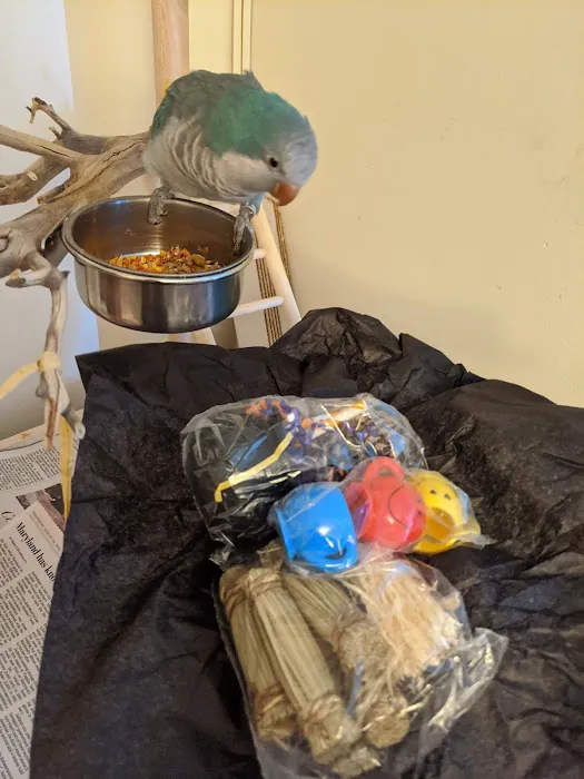 My Safe Bird Store Picture 1