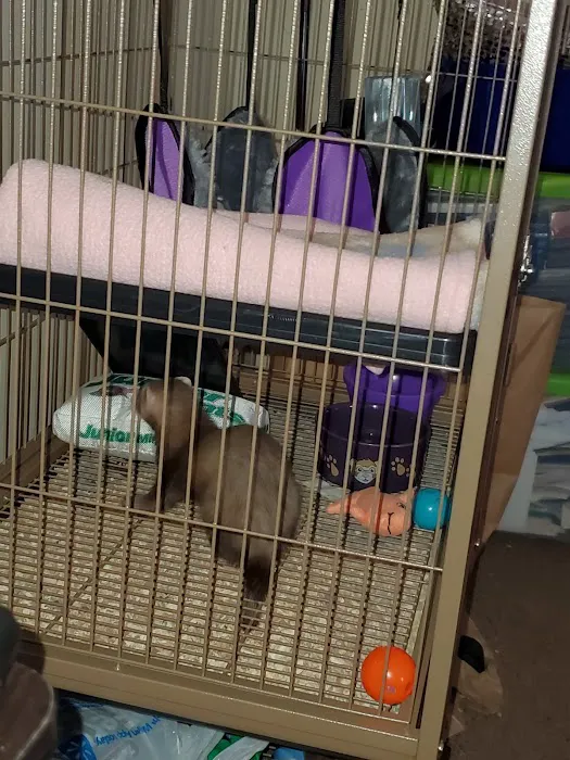 Precious Pets III Picture 7