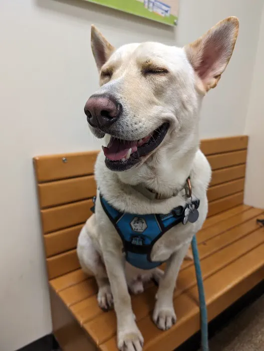WesternU Pet Health Center Picture 6