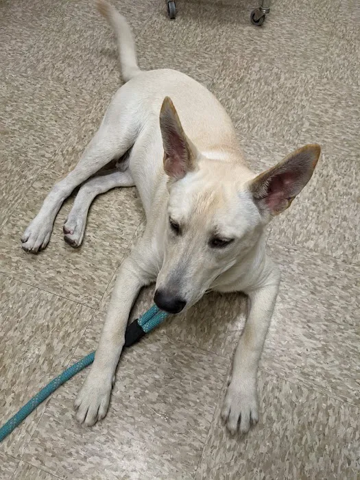 WesternU Pet Health Center Picture 3