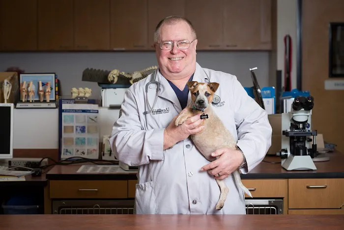 WesternU Pet Health Center Picture 7