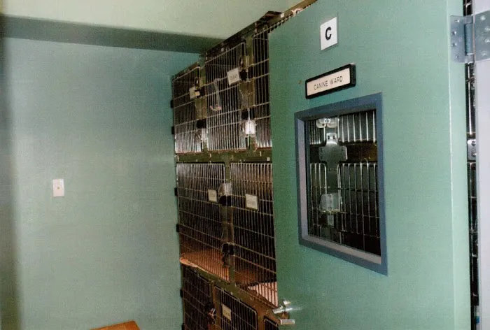 Pomona Valley Veterinary Hospital Picture 9