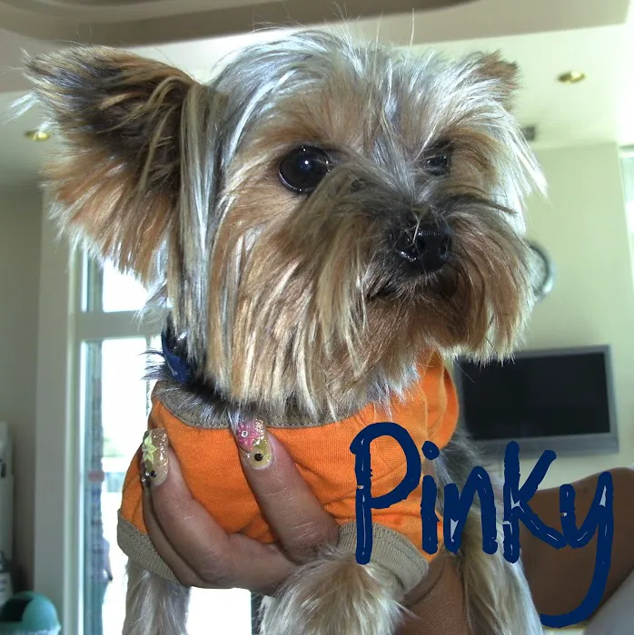 Pomona Valley Veterinary Hospital Picture 4