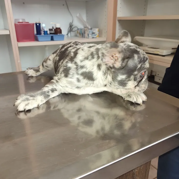 Pomona Valley Veterinary Hospital Picture 1