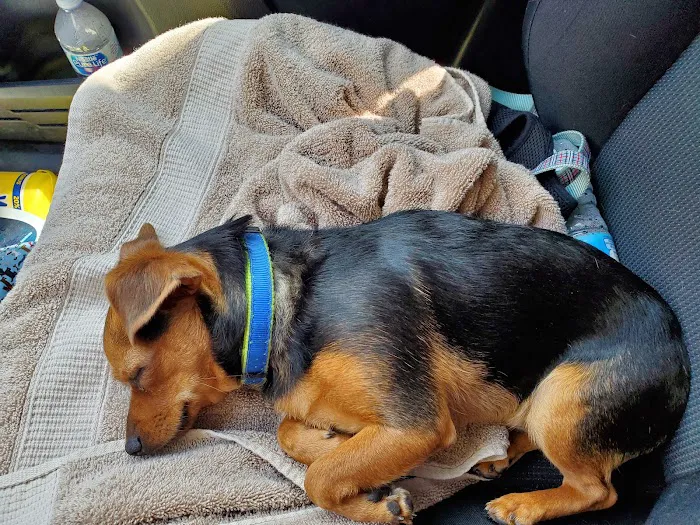 Pomona Valley Veterinary Hospital Picture 7