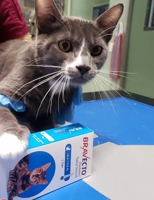 Pomona Valley Veterinary Hospital Picture 5
