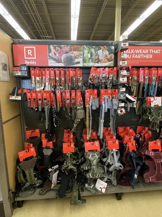 Petco Picture 4