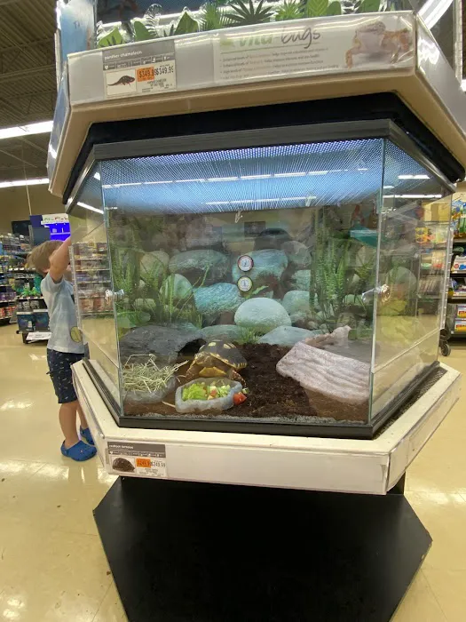 Petco Picture 8