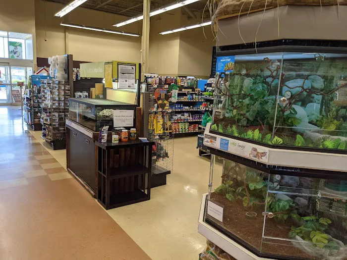 Petco Picture 1