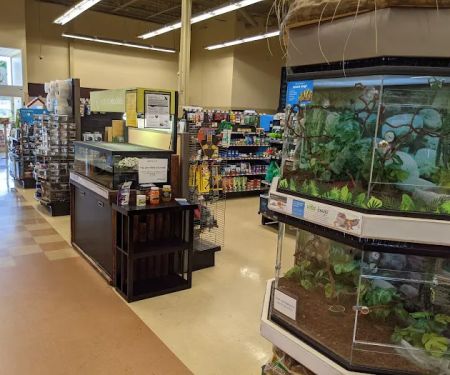 Petco