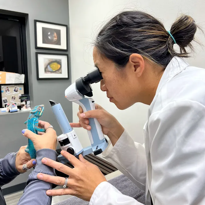 Veterinary Eye Clinic Picture 4