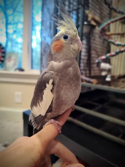 Just for Pets Picture 9