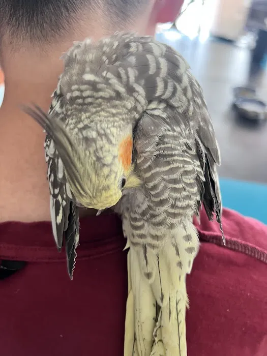 Just for Pets Picture 3