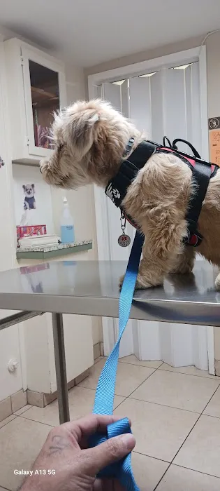 Pomona Animal Hospital Picture 1