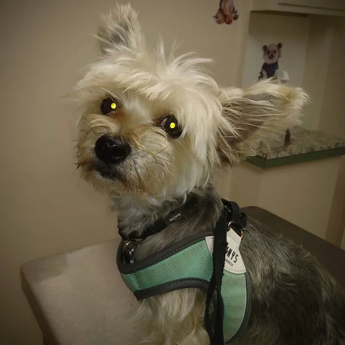 Pomona Animal Hospital Picture 5