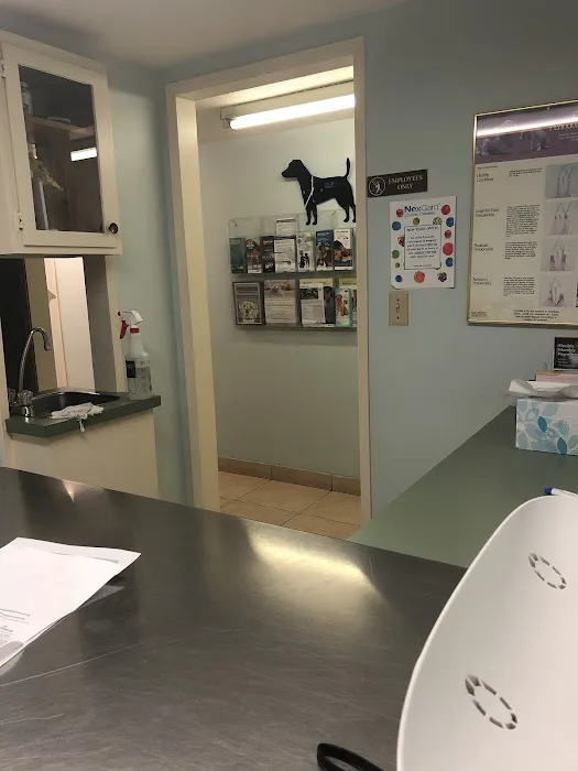 Pomona Animal Hospital Picture 3