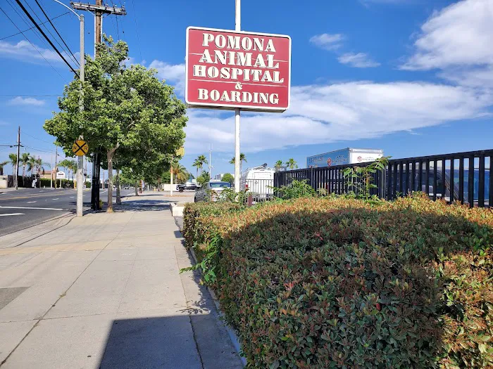 Pomona Animal Hospital Picture 10