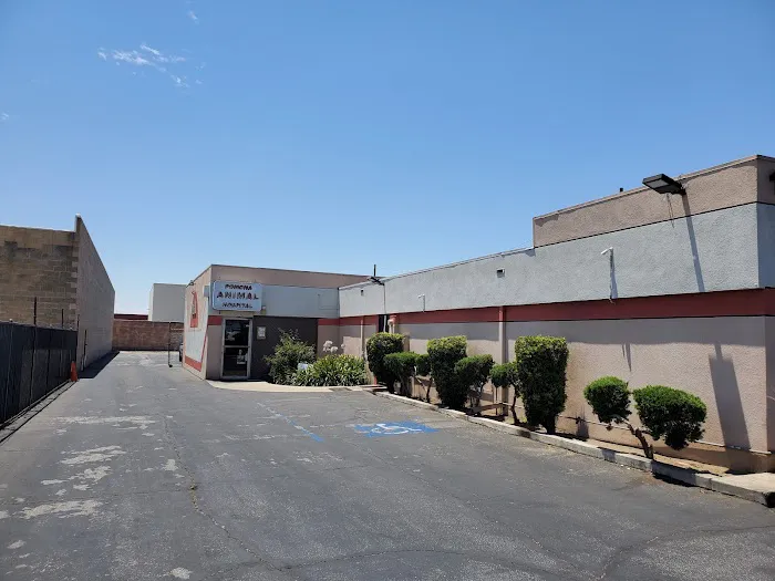 Pomona Animal Hospital Picture 4