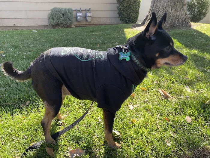 Pomona Animal Hospital Picture 9