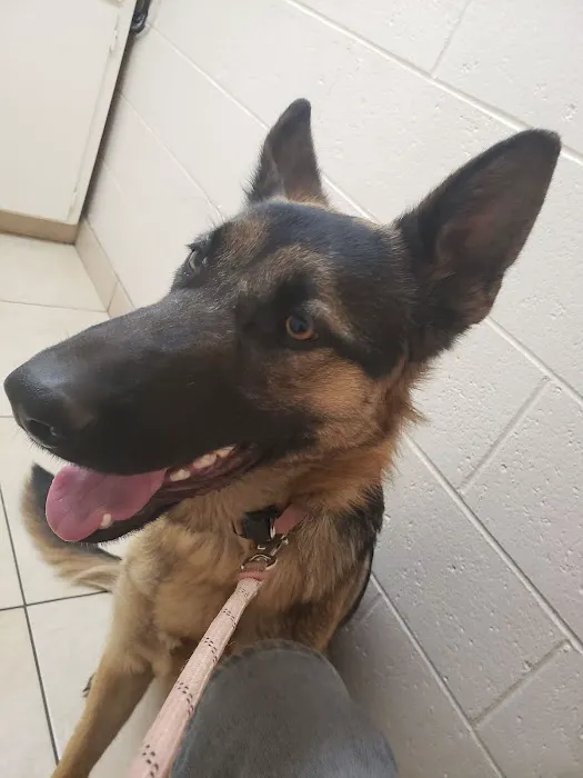 Pomona Animal Hospital Picture 7