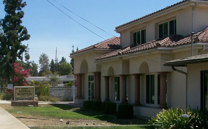 Arrow Animal Hospital Picture 3
