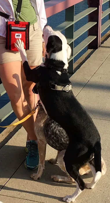 WALY WAG - Dog Walk Bag Picture 6