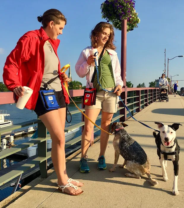 WALY WAG - Dog Walk Bag Picture 3
