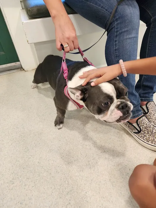 La Verne Animal Hospital Picture 8