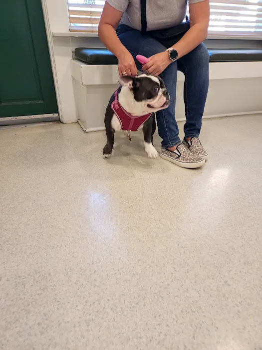 La Verne Animal Hospital Picture 7