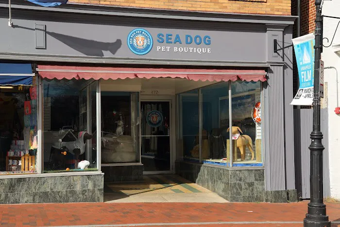 Sea Dog Pet Boutique Picture 9