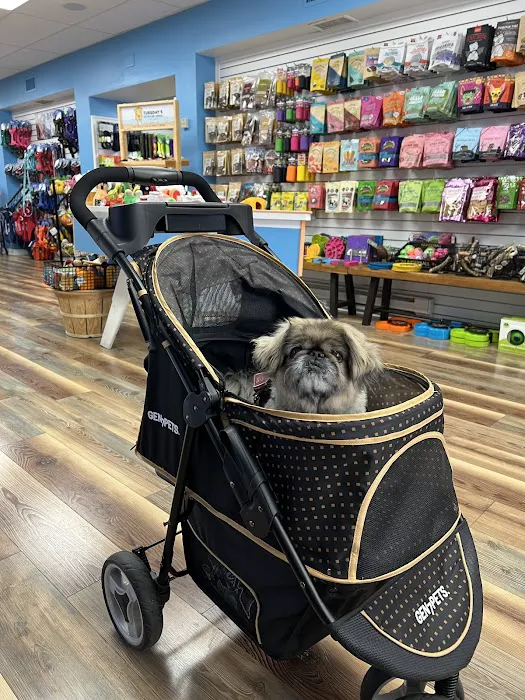 Sea Dog Pet Boutique Picture 4