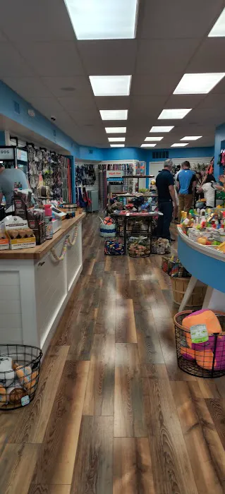 Sea Dog Pet Boutique Picture 3