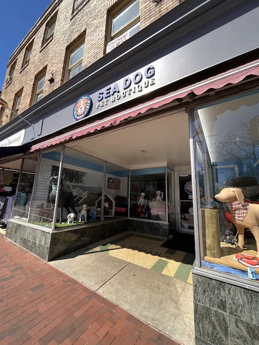 Sea Dog Pet Boutique Picture 6