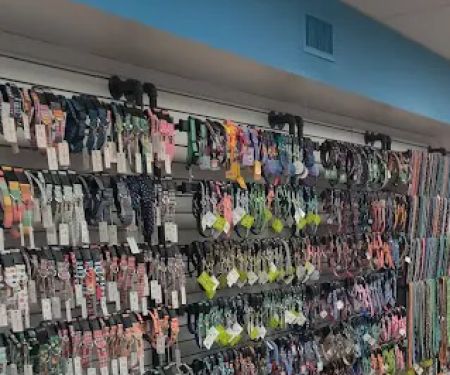 Sea Dog Pet Boutique