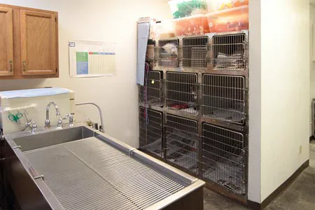 Payne Ranch Vet Clinic Picture 4