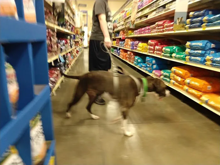 Petco Picture 8