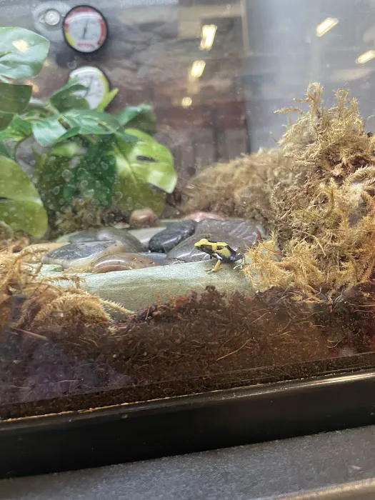 Petco Picture 3