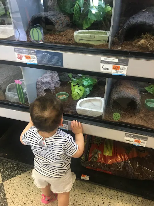 Petco Picture 1