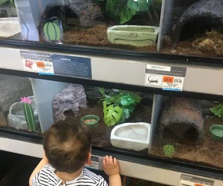 Petco