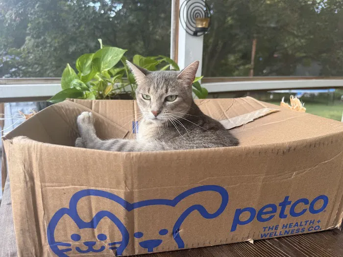 Petco Picture 5