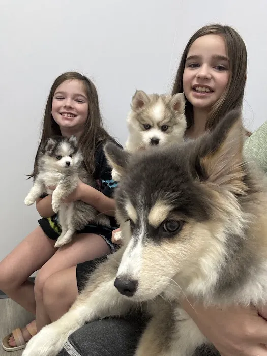 PetVets Animal Hospital Picture 7