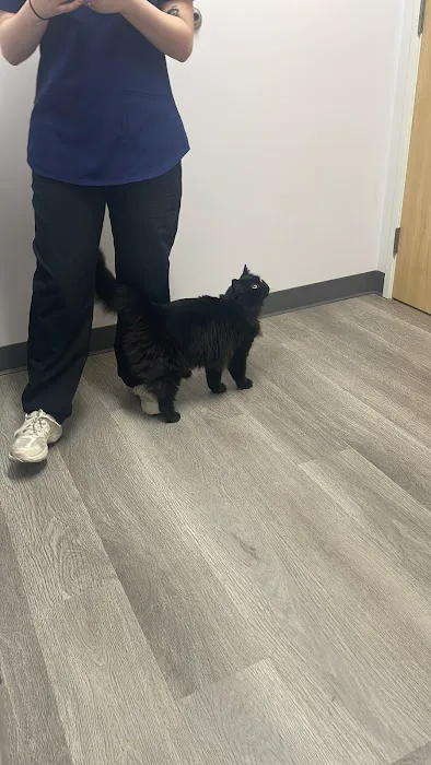 PetVets Animal Hospital Picture 5